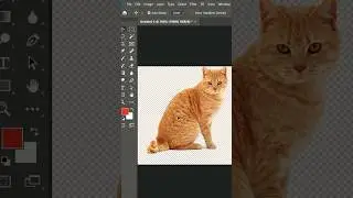 Use Photoshop Magic Wand Tool to Convert JPG to Transparent PNG. #jpgtopng  #transparentbackground