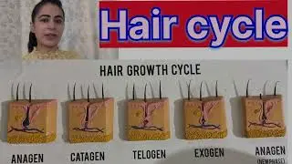 Hair cycle #haircare #hairscience #healthyhair
