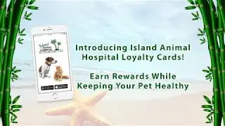 Earn Rewards While Keeping Your Pet Healthy!