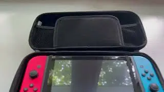 HONEST Review Orzly Nintendo Switch Carry Travel Case