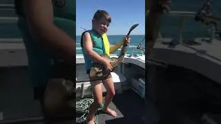 Playing the Banjo Shark