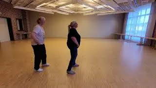 Glass of Wine, 32 Count, 4 Wall, absolute Beginner Linedance, Musik: Cry To Me von Kilotile