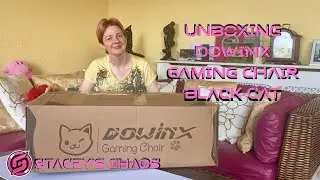 Unboxing Dowinx Gaming Cat Chair: Black and Pink 🐾