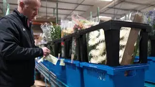DVFlora - We Aspire To Be Our Customers' Most Valuable Supplier
