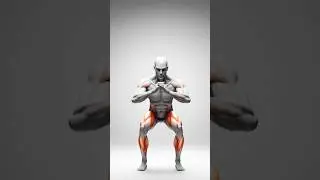 Bodyweight Squat | Full Body Muscle Activation #workout #fitness #health #shorts
