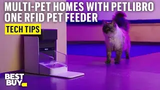 Using the PETLIBRO One RFID Pet Feeder in Multi-Pet Homes &ndash; Tech Tips from Best Buy