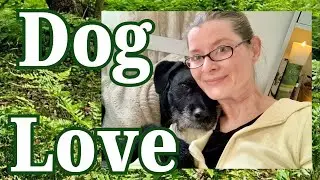 Dog Mom&rsquo;s Food Solution | How I Healed My Dog&rsquo;s Stomach Issues with Home Cooked Meals | Meet Alfie. 