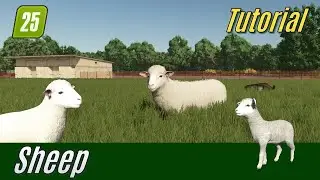 FS25 Tutorial: Sheep (for Beginners)