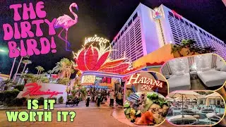 Мое пребывание в Go Room в Flamingo Las Vegas