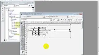 Oracle Forms 10g: How to create iconic button or animated button