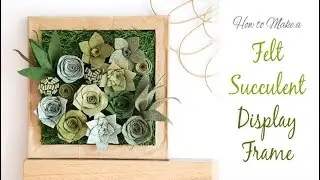 How to Make: FELT PLANT Wall Art ! | DIY Decorative Succulent Display | Easy Craft Project