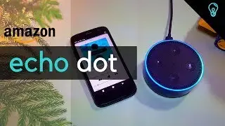 Amazon Echo Dot  India Review!