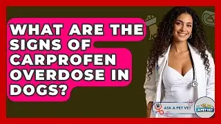 What Are The Signs Of Carprofen Overdose In Dogs? - Ask A Pet Vet