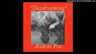 Andras Fox - Cartoon Jungle