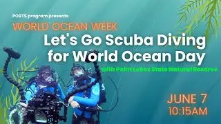 LIVE UNDERWATER: Let's Go Scuba Diving for World Ocean Day!