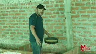 CUYES CHANTACO