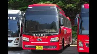 🇰🇷 South Korea 🇰🇷 Kia Granbird silkroad