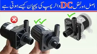 Which DC Water Pump Is Best Among Two Different Shafi And One SUORE Company in Review