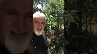 Bol suyu ile, susuz kalan yeşil Akkışla. Tozluyurt mevkiinden selamlar.