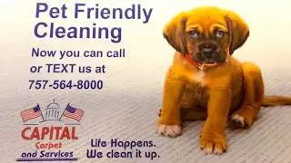 Capital Carpet and Services Williamsburg VA 757-564-8000