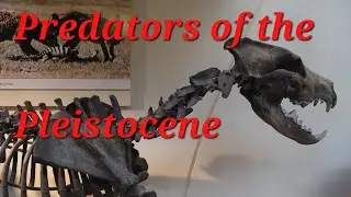 The Terrifying Predators of the Pleistocene