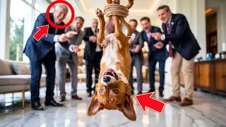 CRUEL MILLIONAIRE HANGS DOG UPSIDE DOWN FOR FUN, BUT WHAT THE HORSE DID LEFT EVERYONE IN SHOCK!