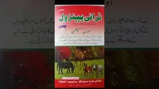 Increase milk production of cow and buffalo