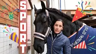 On the road again. SPORT for Reintje! | Friesian Horses