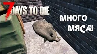 58. Много мяса 🥩 7 Days to die