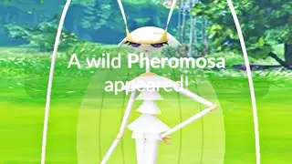 Ultra Beast Pheromosa Encounter From Special Research In Pokemon Go | Go Fest 2022 Finale