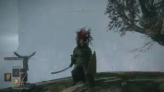 ELDEN RING truth