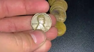 Unsearched Wheat Penny Roll From Fan!