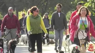 See Spot Walk 2012