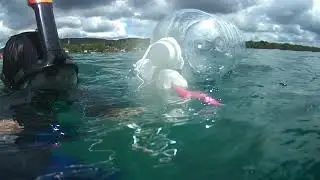 Spear Fishing Dauis Off to Balwarte, Baclayon Bohol. A quick dive.. spear gun test.