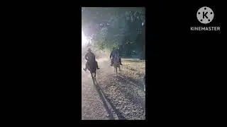 Se&ntilde;alada Estancia El Chacay 2024