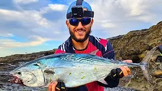 Rock Fishing For BIG Bonito And MACK TUNA (Live Bait)