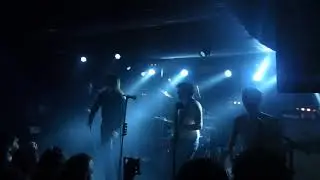 MARMOZETS - 