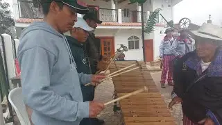 Marimba de San Sebastian. ...2024