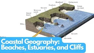Exploring Coastal Geography: Beaches, Estuaries, and Cliffs