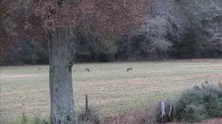 Hunt the Front! 