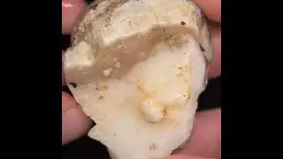 Big Low Grade Spencer Idaho Opal Specimen Admirer Gemstone #gemstone #crystal #gem #nature #natural