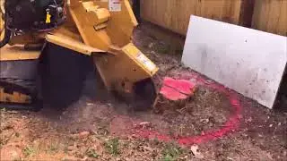 Treefix Stump Grinding Services 2018 Youtube