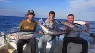 Hegaluzearen Arrantza, Pesca de Bonito del Norte, Fishin thunnus alalunga