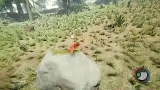 The forest mas eu sou um mrd jogando 1
