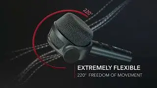 Austrian Audio OD5 Active Dynamic Instrumental Microphone