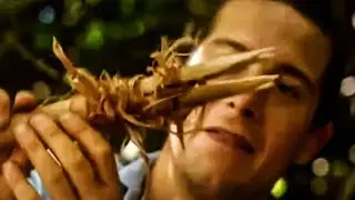 COOKING A TURTLE, FINDING WATER : Bear Grylls' Island Survival Masterclass
