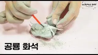 Tyrannosaurus Excavation Project! Dinosaur Fossils [Science Day]