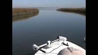 Ranger Banshee Extreme Running Shallow