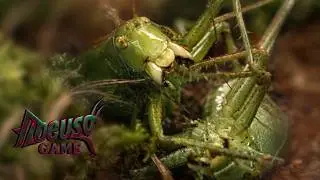 Insect Survival Game | Locust Game 2 Episode 2: Generation Clash