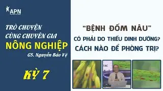 APN - ĐỐM NÂU DO BỆNH HAY DO THIẾU DINH DƯỠNG? TRÒ CHUYỆN CÙNG CHUYÊN GIA NÔNG NGHIỆP KỲ 7